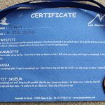 Sam's Marmotton Ski Certificate
